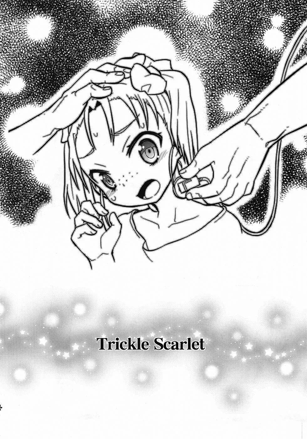 Accel World,Trickle Scarlet [Japanese][第3页]