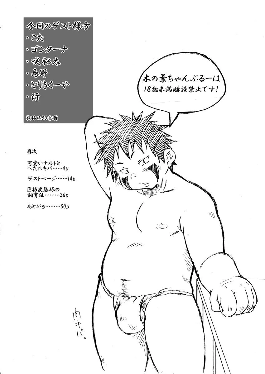 Naruto,Konoha Chanpuruu [Japanese][第3页]