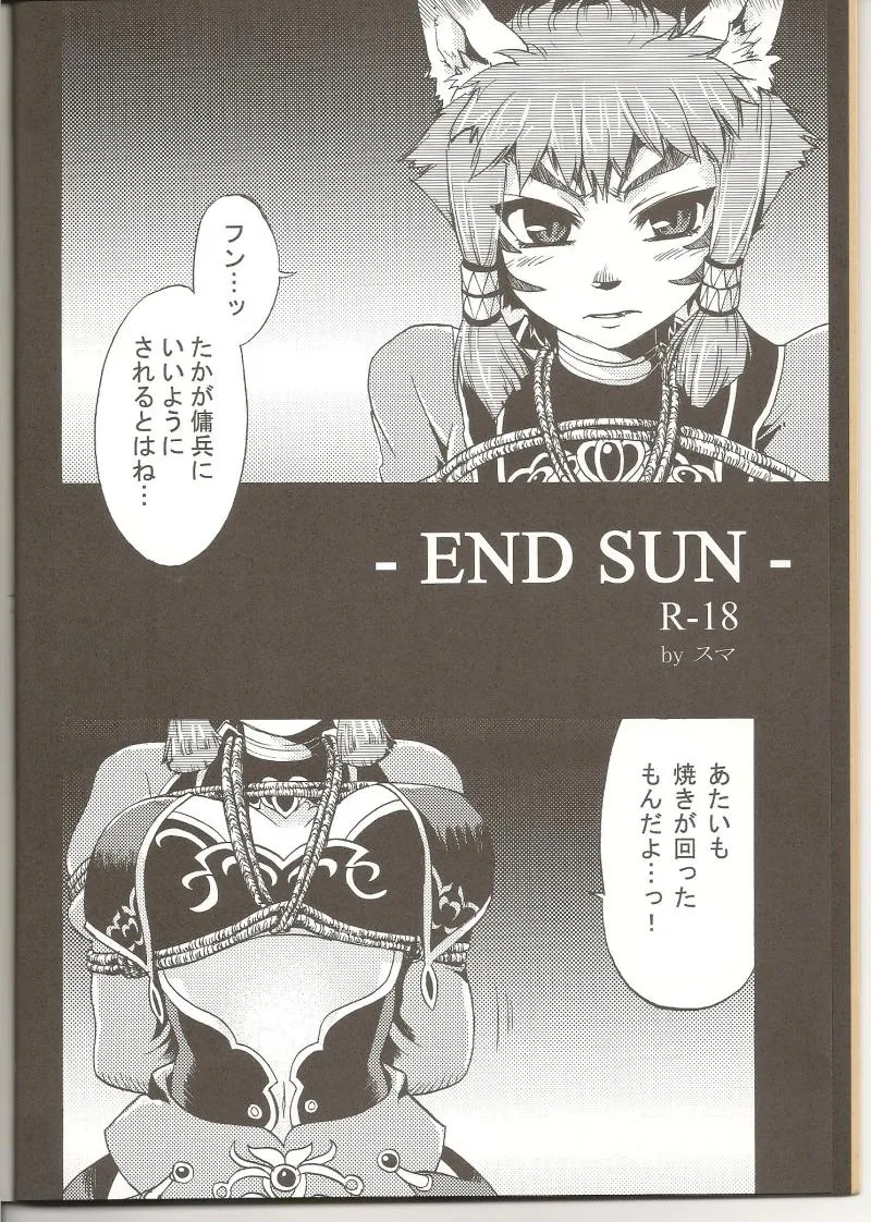 Final Fantasy Xi,END SUN [Japanese][第5页]