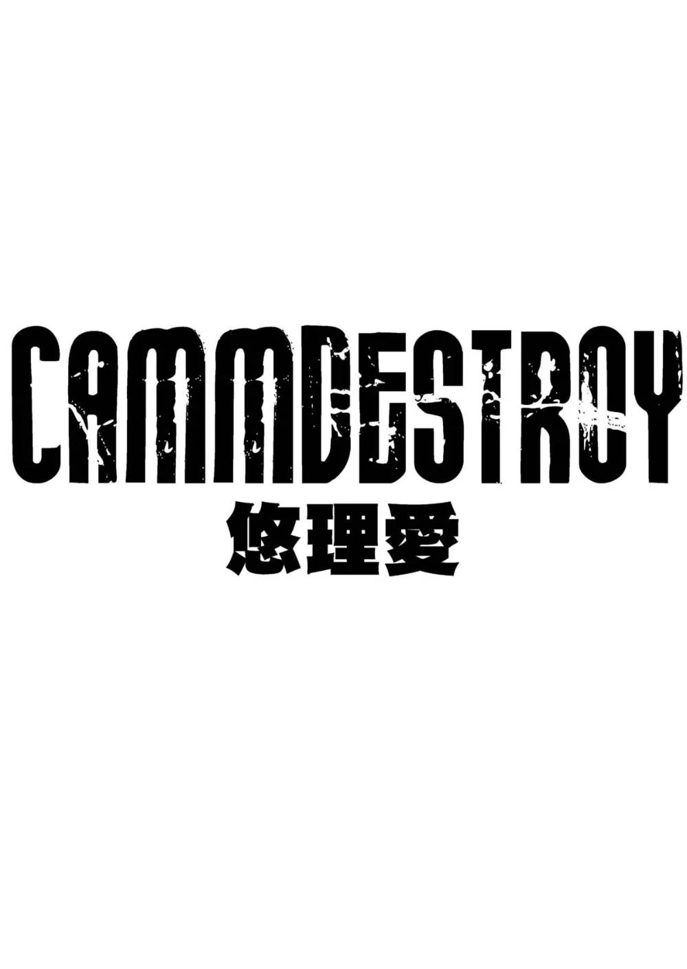 Street Fighter,CAMMDESTROY [English][第2页]