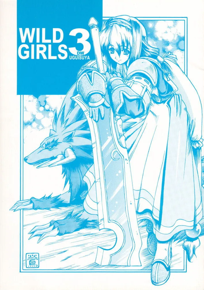 Wild ArmsWild Arms 2,Wild Girls Three [Japanese][第1页]