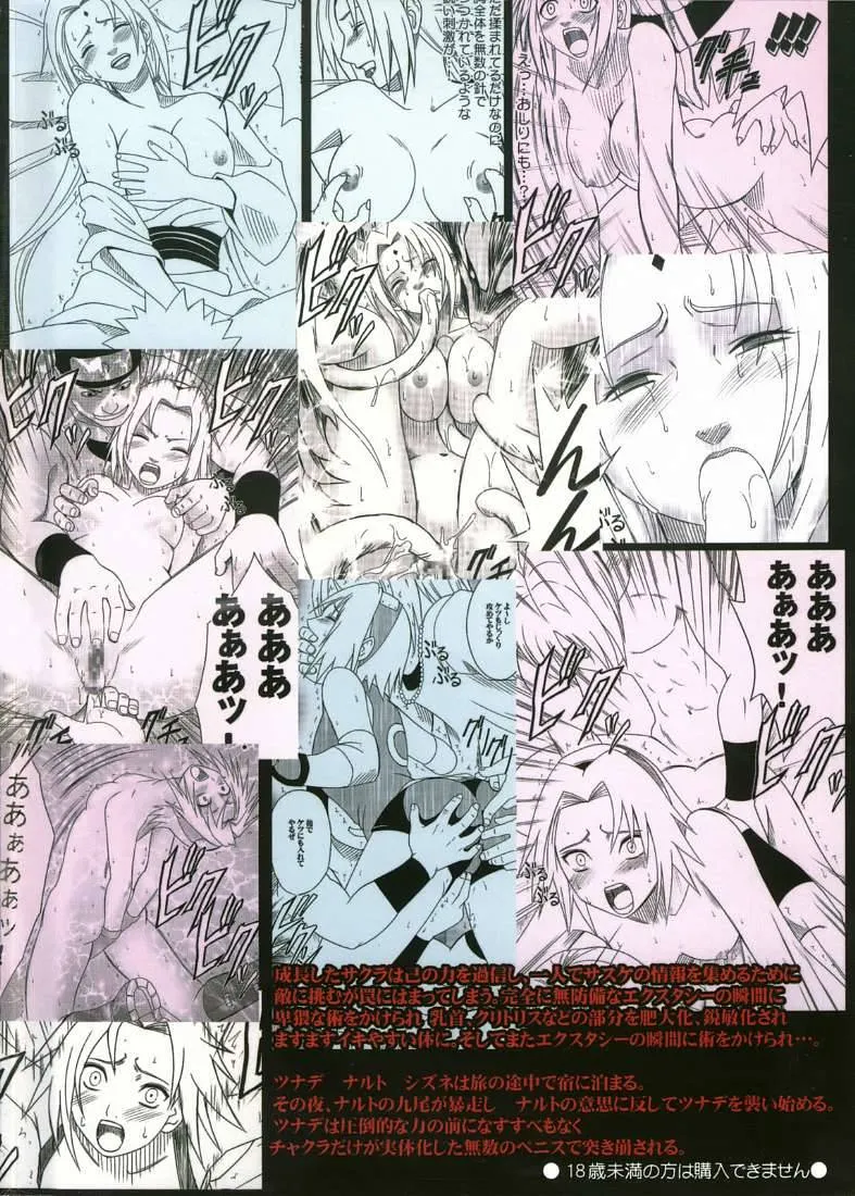 Naruto,Uzumaki Bouquet 2- Tsunade's Chapter [English][第38页]
