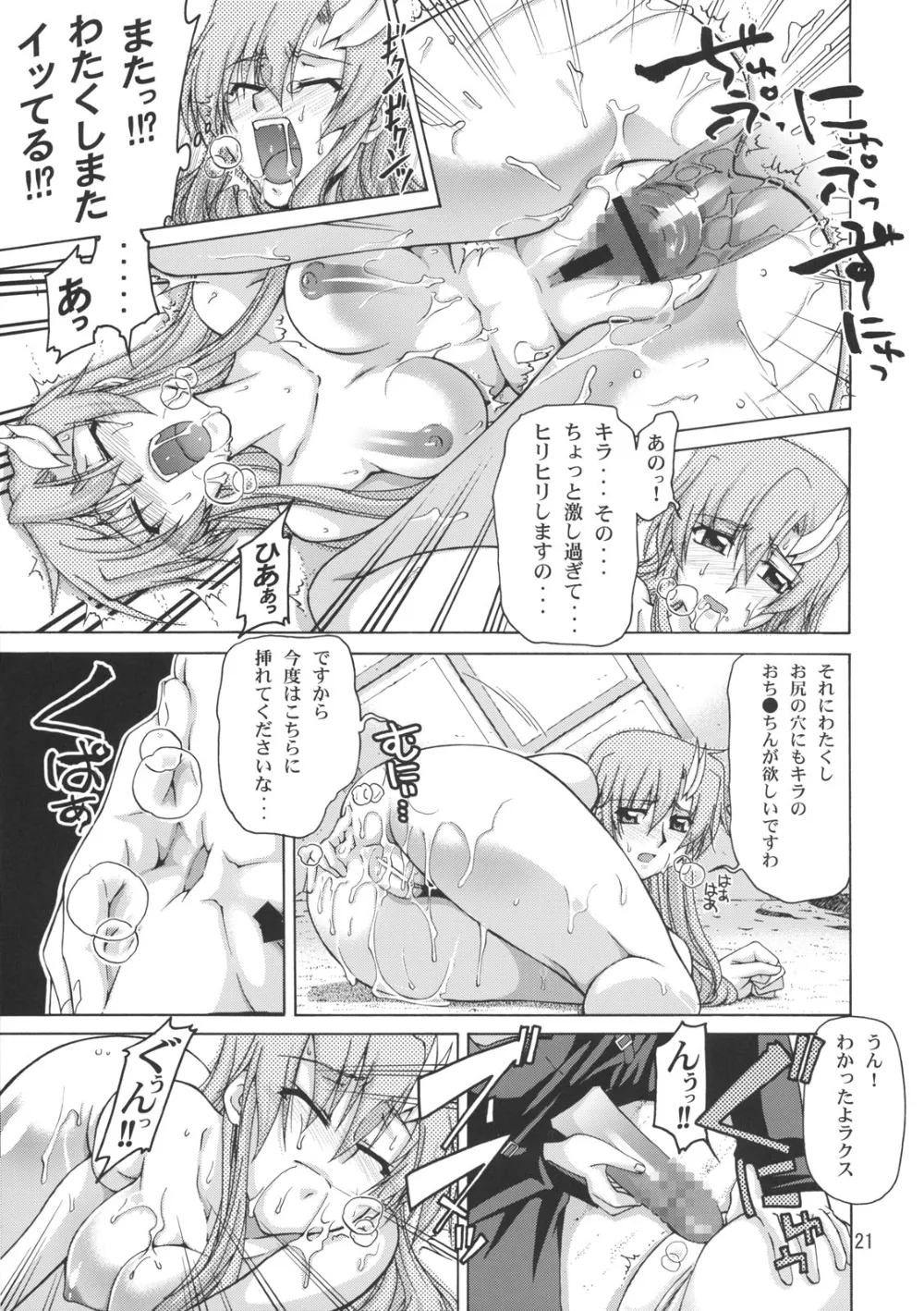 Gundam Seed,A Diva Of Healing II [Japanese][第20页]