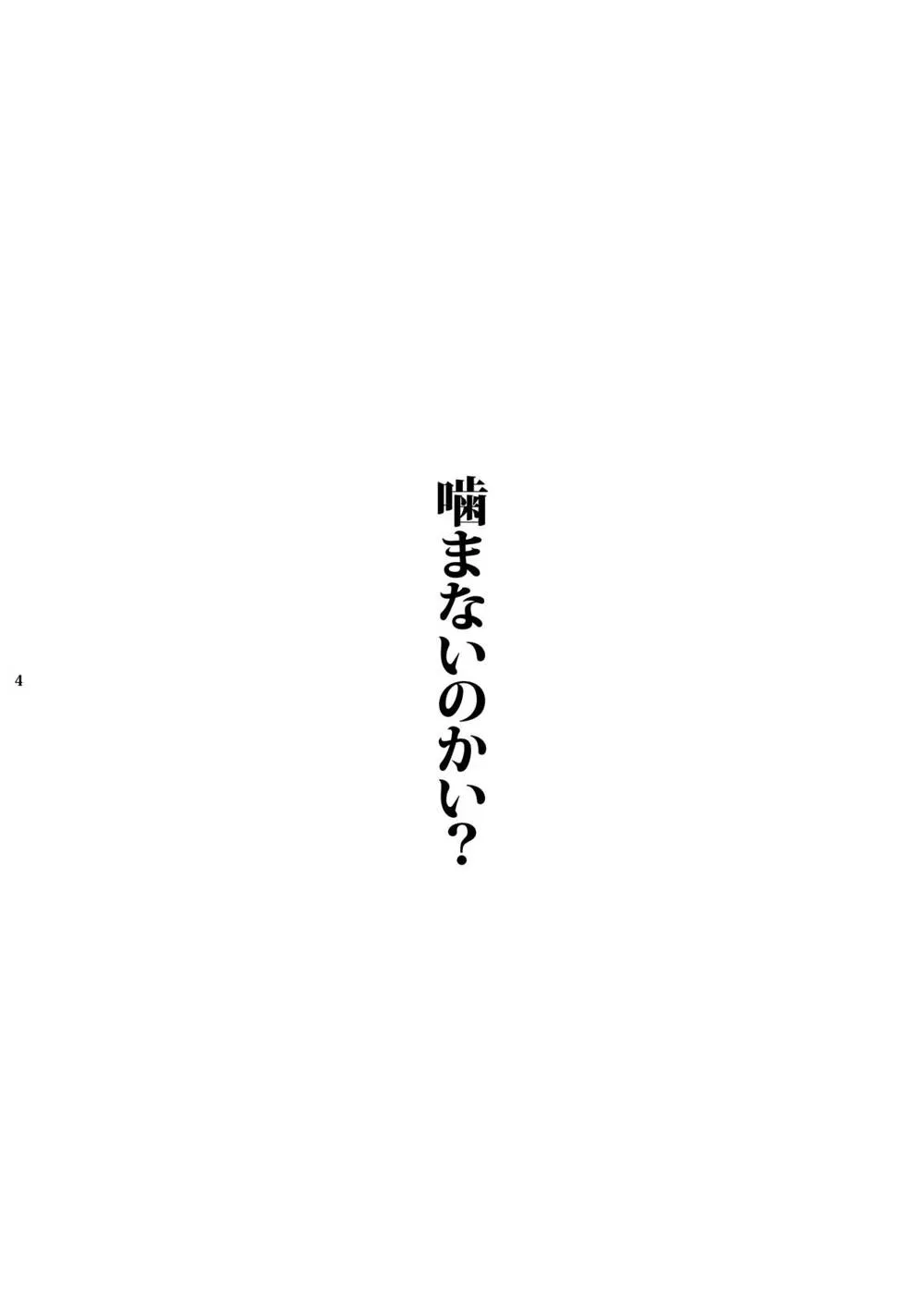 Touhou Project,Chiton [Japanese][第3页]
