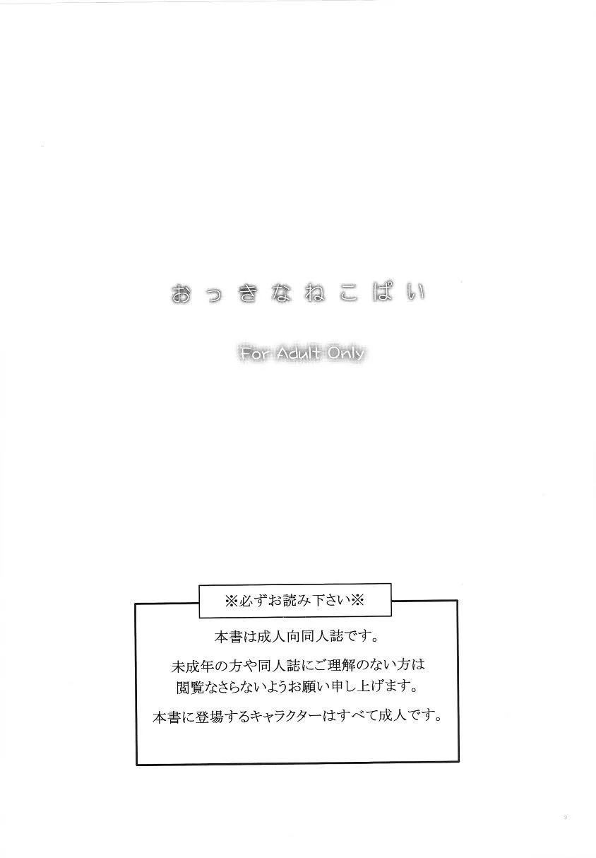 Final FantasyFinal Fantasy Xi,Okkina Neko Pai [Japanese][第2页]