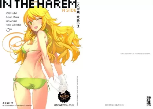 IN THE HAREM A SIDE [Japanese]