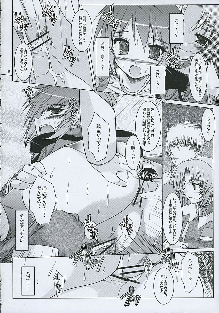 Gundam Seed Destiny,REDDISH PURPLE-AS [Japanese][第17页]