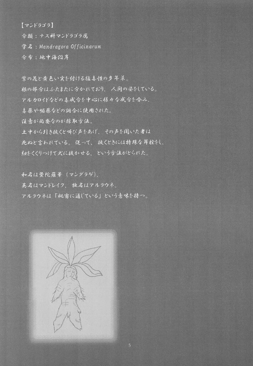 Original,Mandragora Fever [Japanese][第3页]