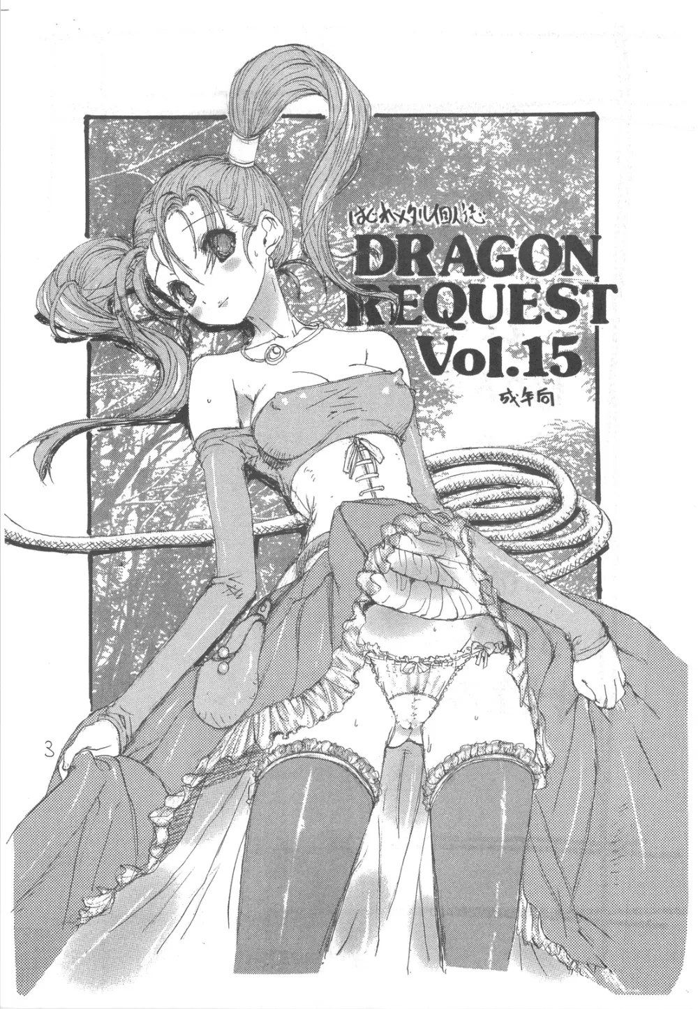 Dragon Quest,DRAGON REQUEST Vol.15 [Japanese][第3页]