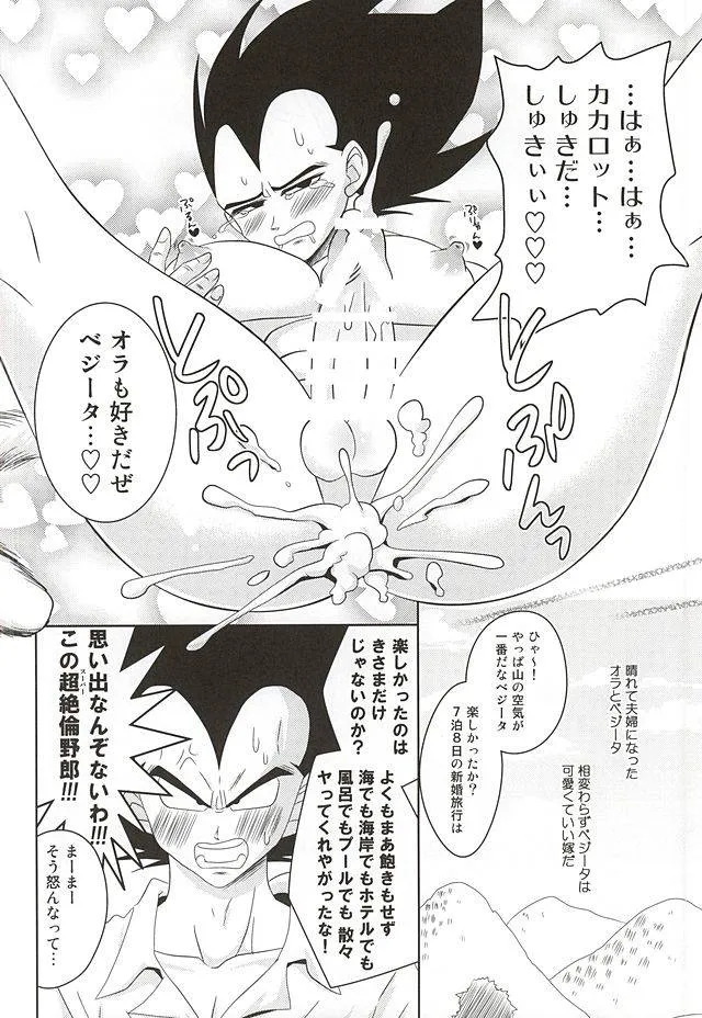 Dragon Ball Z,Dear2 [Japanese][第4页]