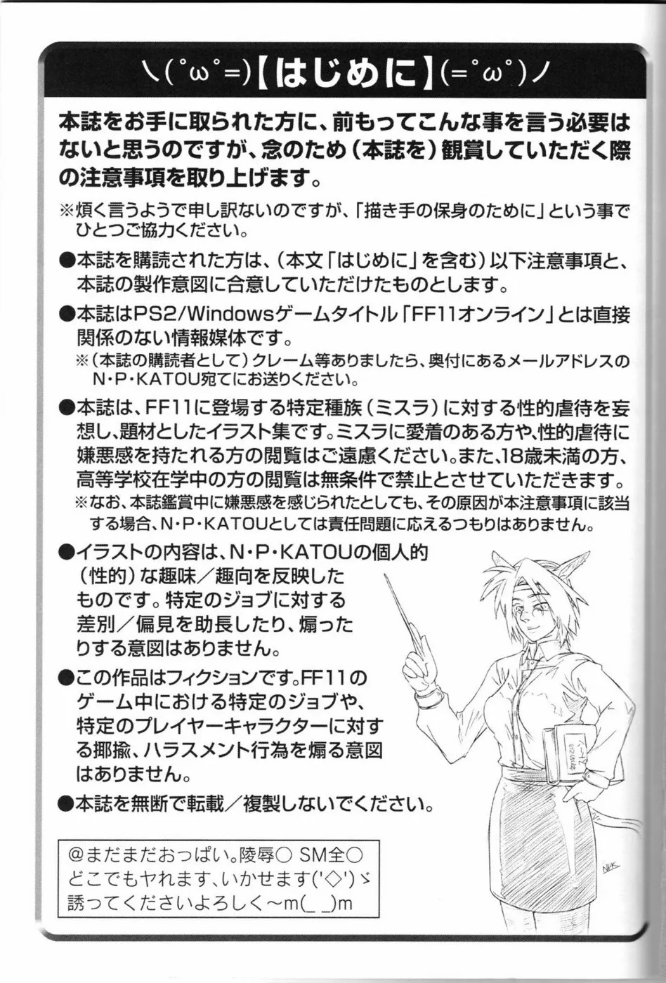 Final FantasyFinal Fantasy Xi,Mithman Report [Japanese][第2页]