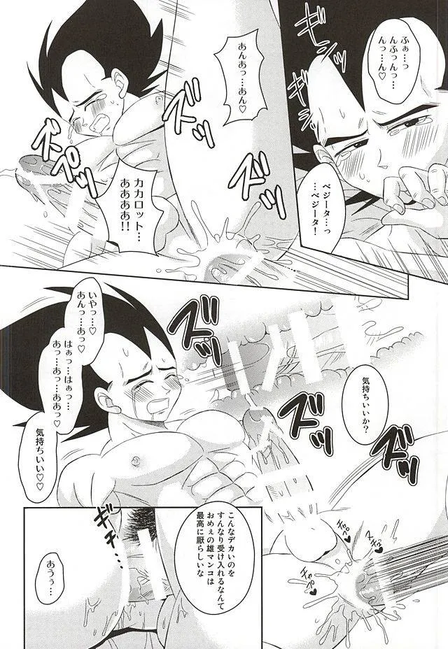 Dragon Ball Z,Dear2 [Japanese][第24页]