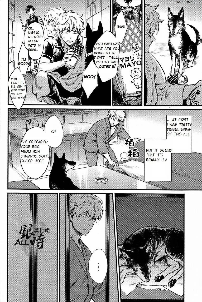 Gintama,HOW To SPOIL YOUR DOG [English][第14页]