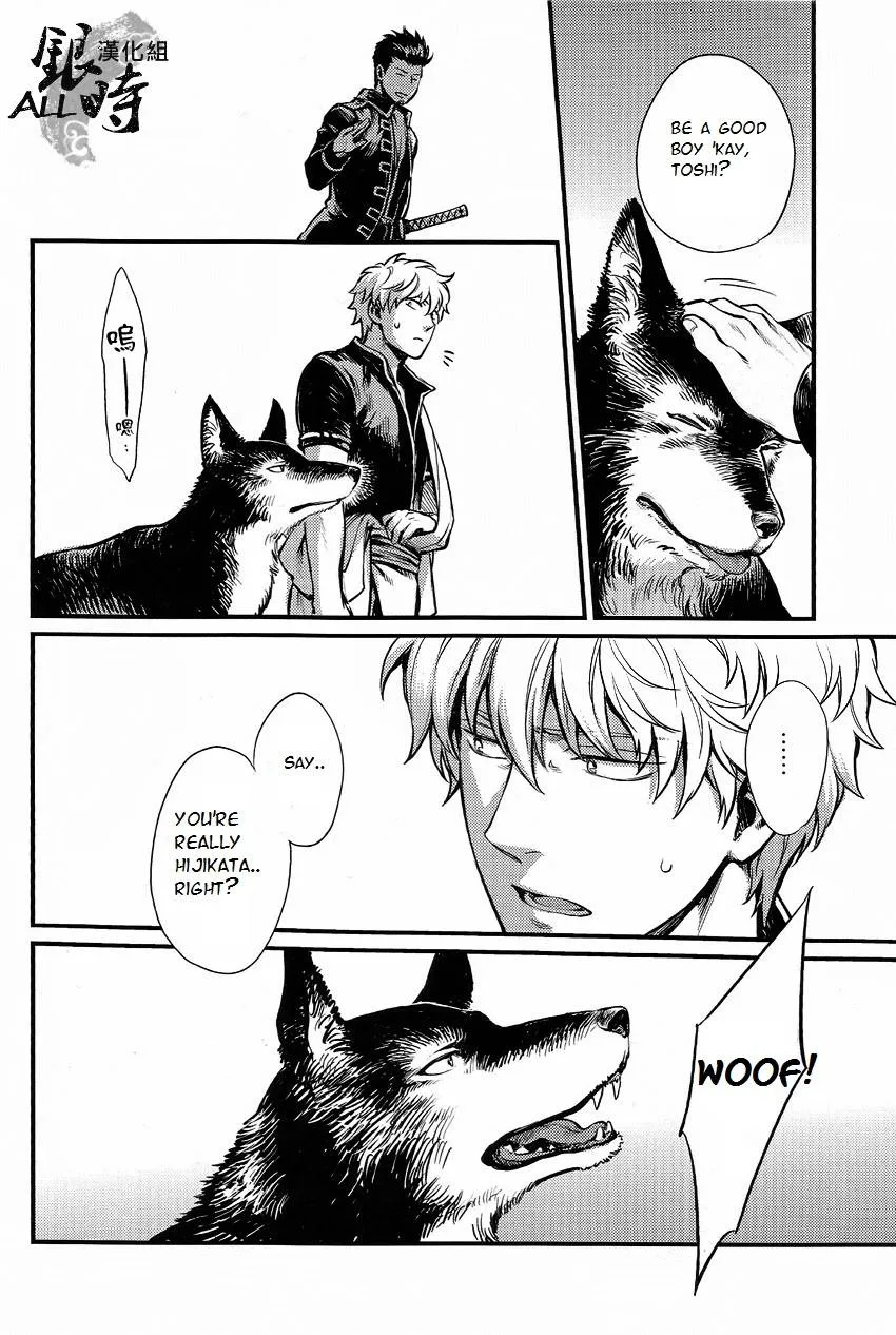 Gintama,HOW To SPOIL YOUR DOG [English][第12页]