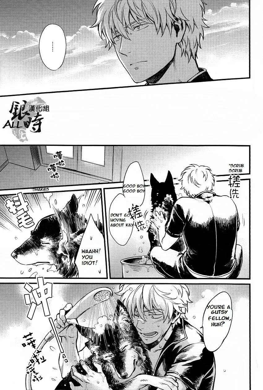 Gintama,HOW To SPOIL YOUR DOG [English][第19页]