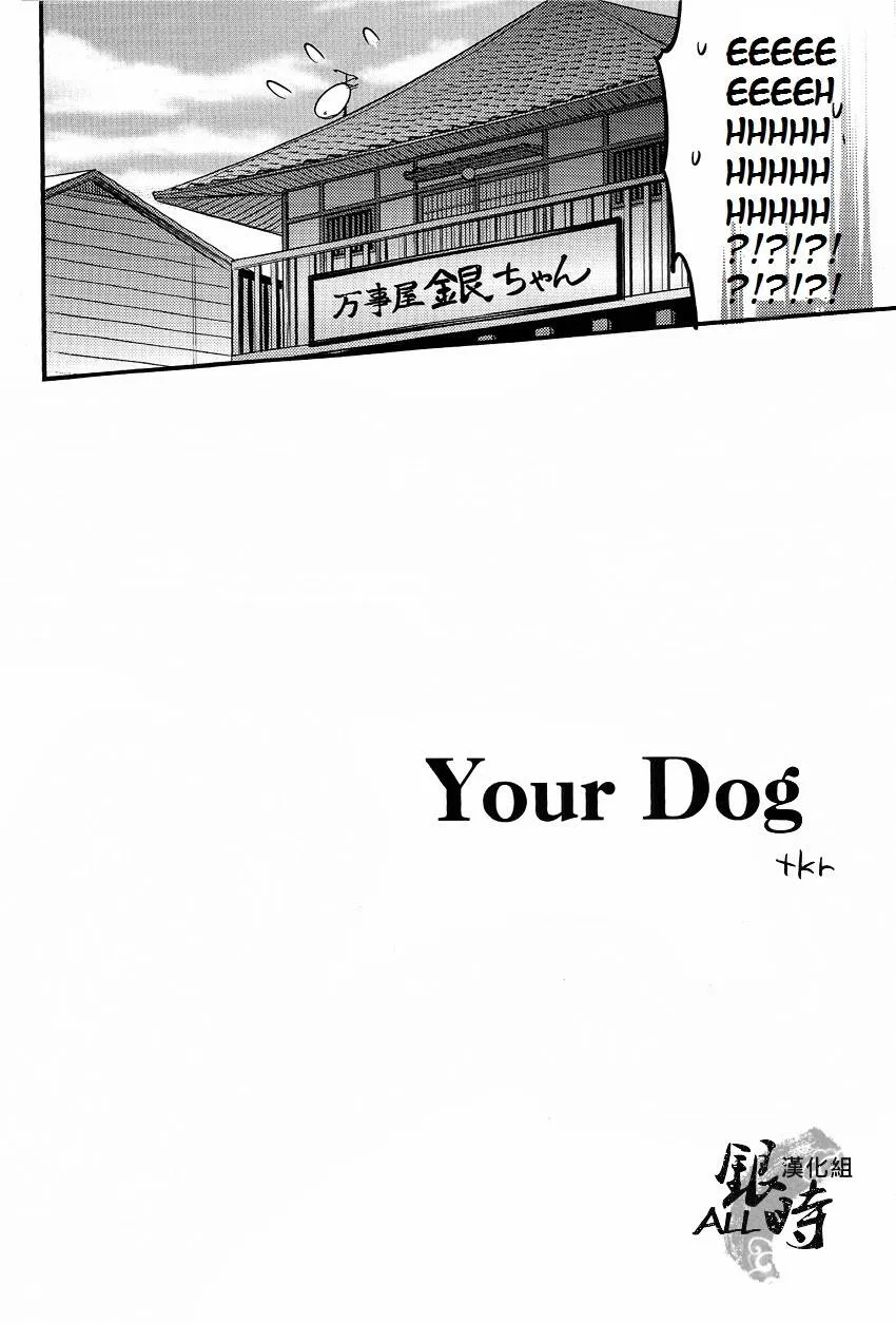 Gintama,HOW To SPOIL YOUR DOG [English][第8页]