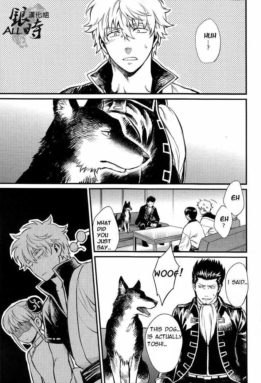 Gintama,HOW To SPOIL YOUR DOG [English][第7页]