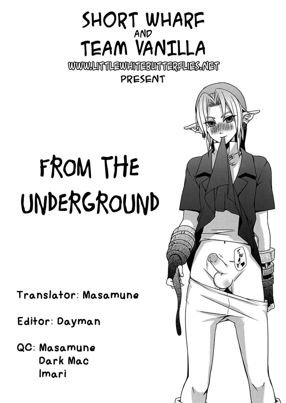 The Legend Of Zelda,From The Underground [English][第19页]