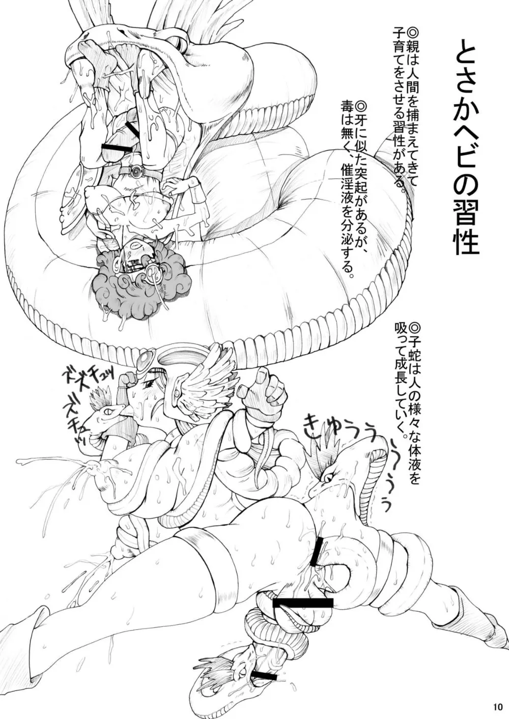 Dragon QuestOne Piece,38 [Japanese][第9页]