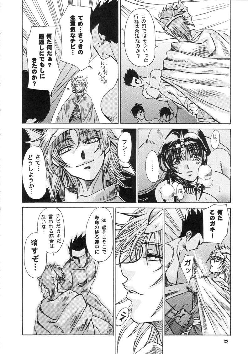 Dragon Quest,Maichingu Mara & Minea 1 [Japanese][第20页]