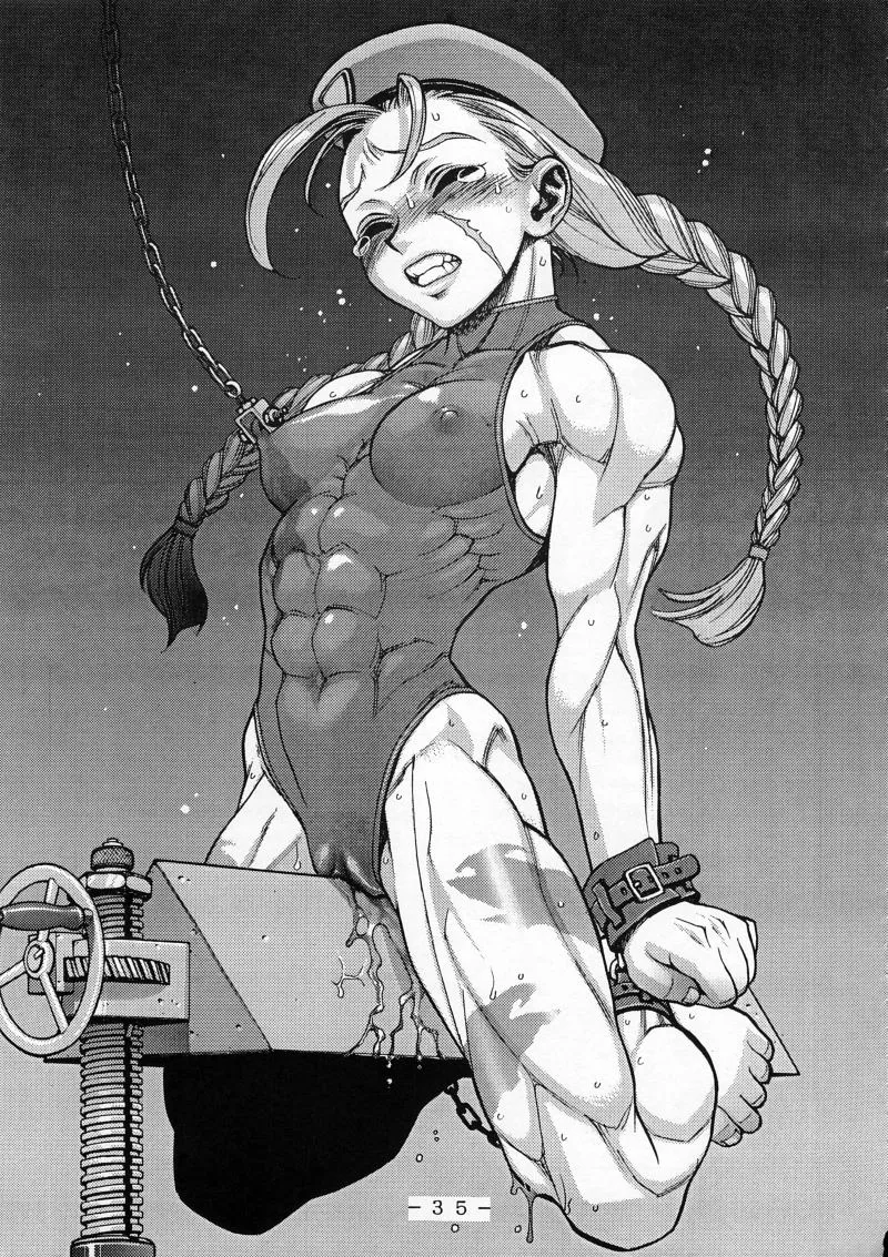 Street Fighter,Cammy Sousa Kannou Shashinshuu [Japanese][第34页]