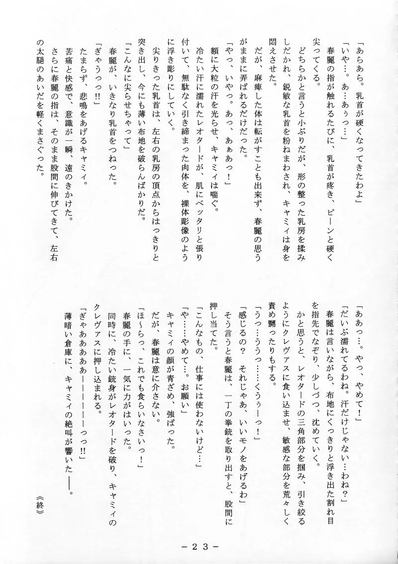 Street Fighter,Cammy Sousa Kannou Shashinshuu [Japanese][第22页]