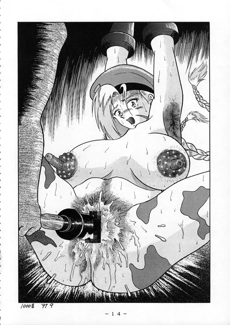 Street Fighter,Cammy Sousa Kannou Shashinshuu [Japanese][第13页]
