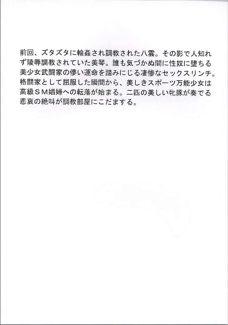 School Rumble,Slave Rumble 2 [Japanese][第48页]