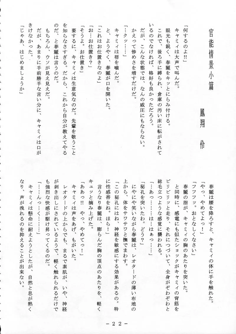 Street Fighter,Cammy Sousa Kannou Shashinshuu [Japanese][第21页]