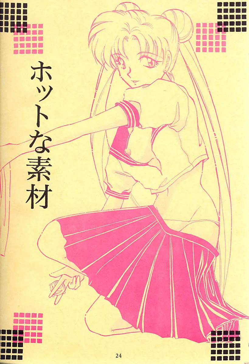Sailor Moon,Princess Moon [Japanese][第25页]