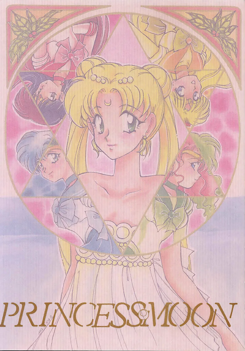 Sailor Moon,Princess Moon [Japanese][第2页]