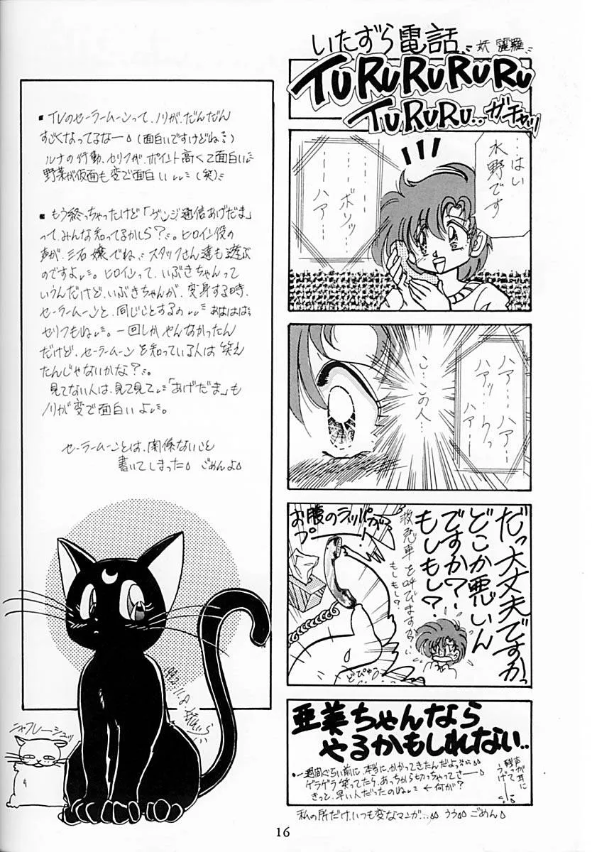 Sailor Moon,Princess Moon [Japanese][第17页]