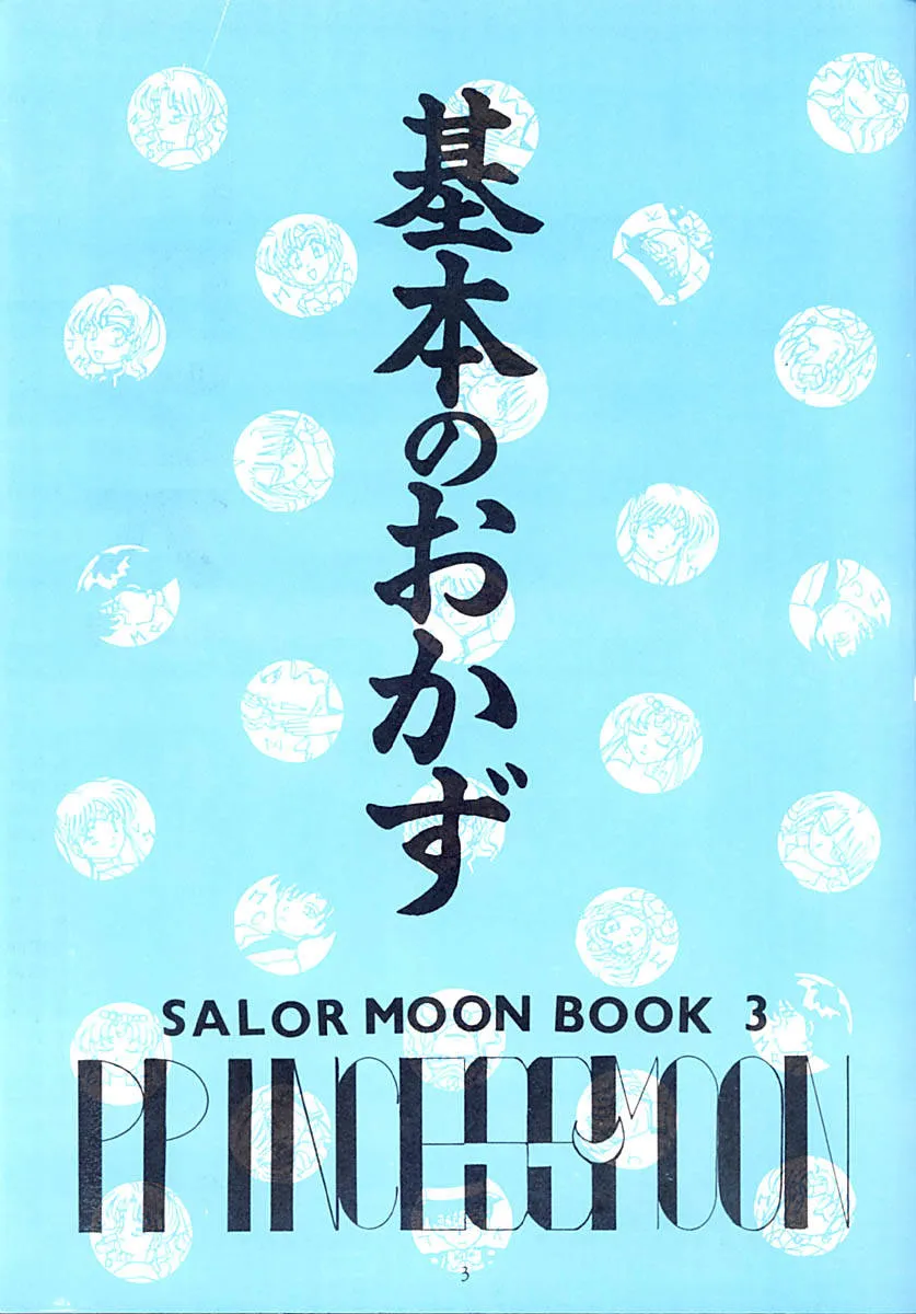 Sailor Moon,Princess Moon [Japanese][第4页]