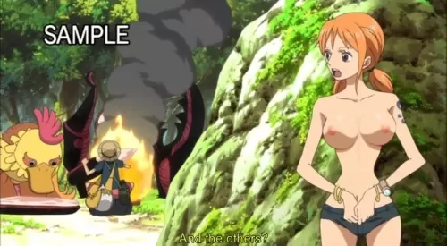 One Piece Hentai Pictures