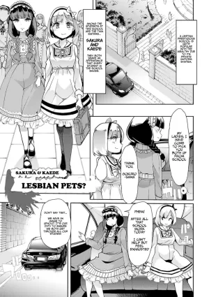 Sakura &amp; Kaede: Lesbian Pets? - How do you like Diaper girl?