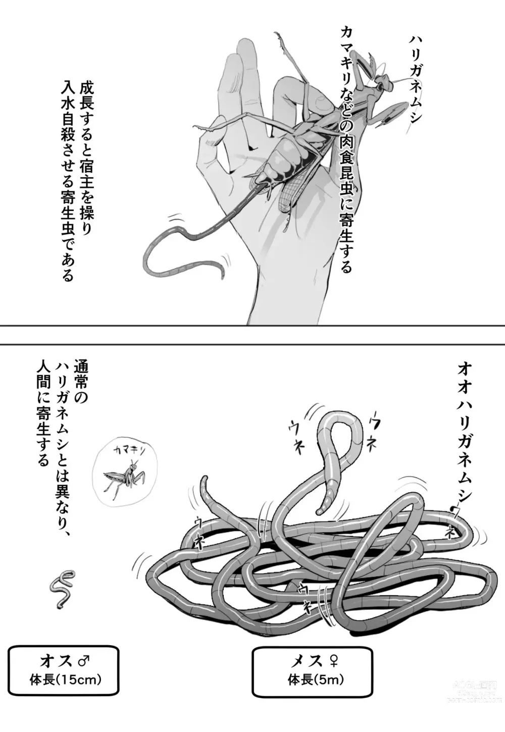 Page 1 of doujinshi Oohariganemushi No Seitai
