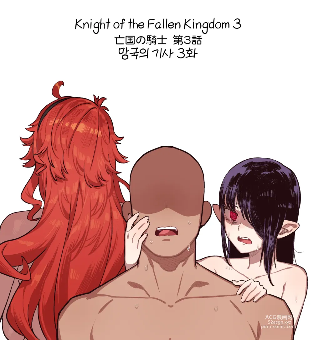 Page 1 of doujinshi Knight of the Fallen Kingdom 3 (uncensored)