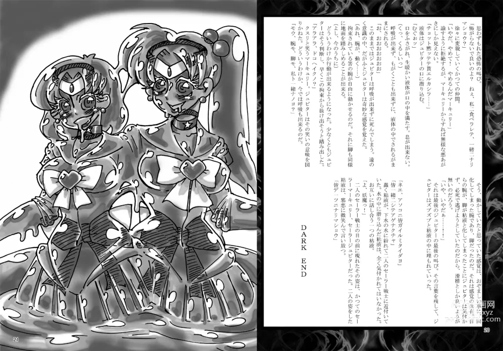 Page 11 of doujinshi Daraku Wakusei 2