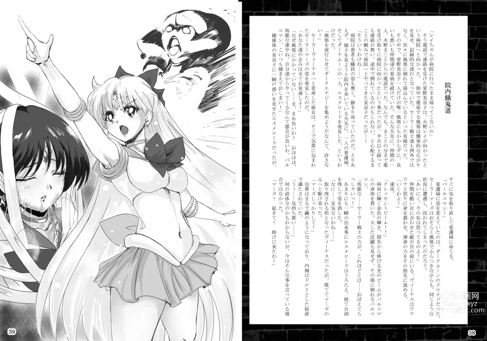 Page 20 of doujinshi Kasei Daraku Keikaku