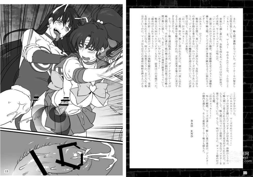 Page 7 of doujinshi Kasei Daraku Keikaku