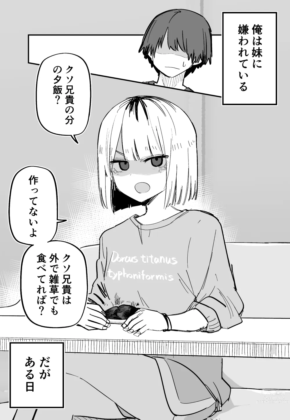 Page 53 of doujinshi Ore no Koto ga Daikirai na Imouto ga Kowai