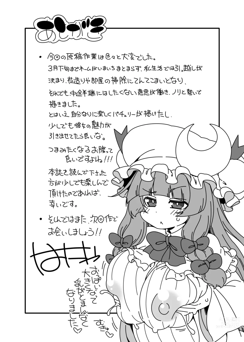 Page 20 of doujinshi Touhou Meiko ~Patchouli Hen 2~