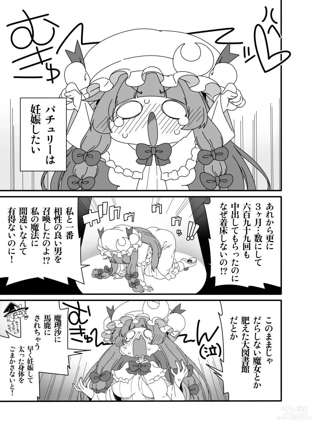 Page 4 of doujinshi Touhou Meiko ~Patchouli Hen 2~