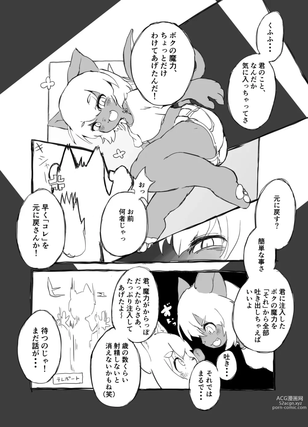 Page 4 of doujinshi Otsuru Kitsune