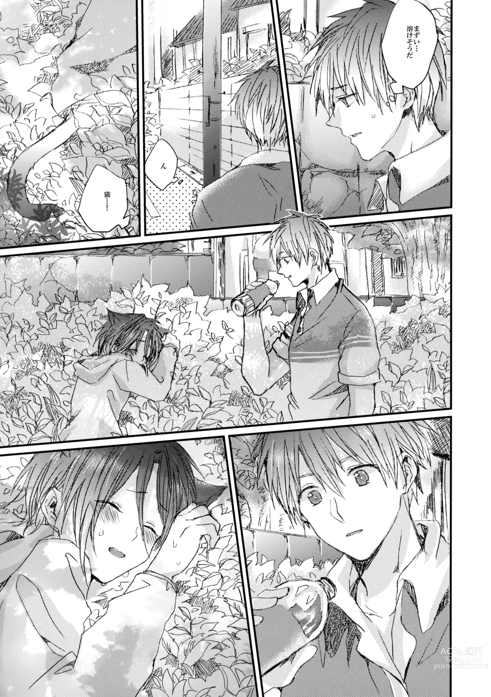 Page 6 of doujinshi Rin-chan nau!