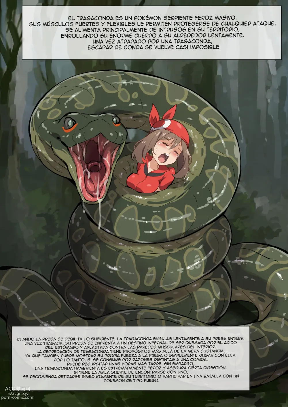 Page 8 of doujinshi [Mist Night (Co_Ma) Hell Of Swallowed One-Shot Haruka Vs Swallowconda (Pokemon) [Spanish]