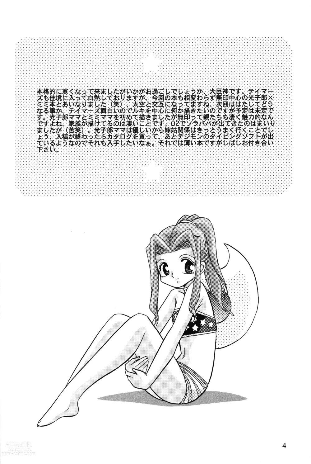 Page 3 of doujinshi Sora Mimi Hour 4