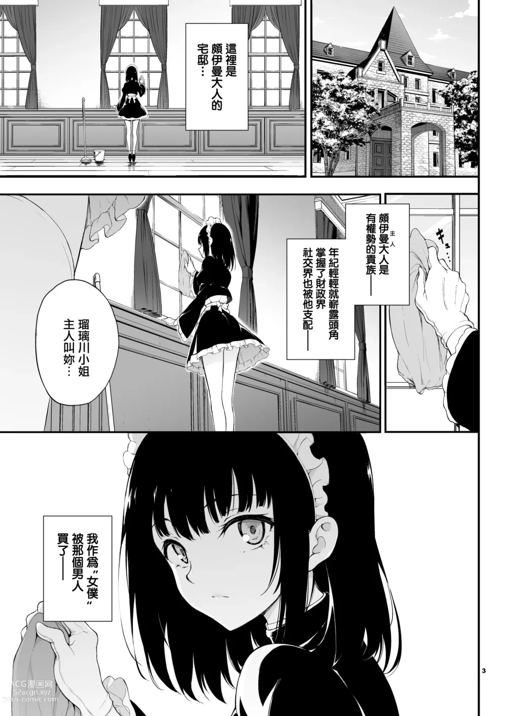 Page 3 of doujinshi Maid Kyouiku. 1~3 -Botsuraku Kizoku Rurikawa Tsubaki-