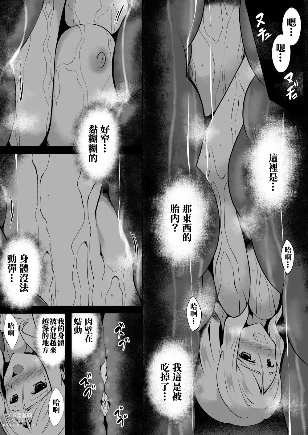 Page 24 of doujinshi Shuudou Kishi Cecilia ~Marunomi Maryouku Chuunyuu~