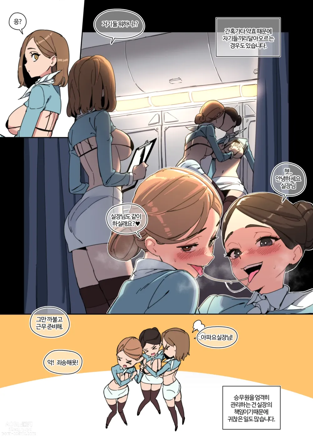 Page 4 of doujinshi 한사랑항공 다이아클래스 -승무원 사용 가이드-